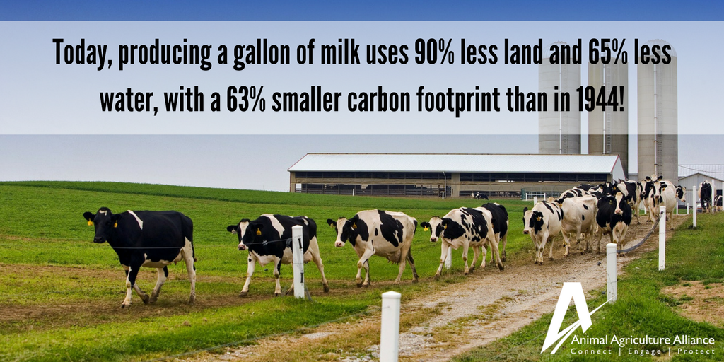 animalag's tweet photo. Dairy farmers are not only committed to caring for their cows every day, but the environment too! https://t.co/cnXJscr3w5  #EarthDay 🐄 🌎 https://t.co/09XKa7UVM6