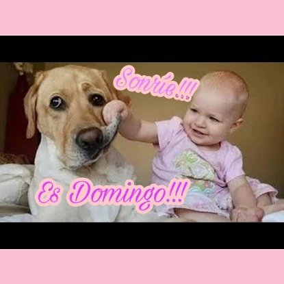 TopTopGijon's tweet photo. #bebes #perros ❤ ¿Sabías q tener #Mascotas el 1er año d #Vida reduce el riesgo d alergias , problemas respiratorios y otitis en el niño? #babies #loves #dogs #cutebaby #cutedog ❤ #love #lifestyle #healthylifestyle #AdoptADog #AdoptaNoCompres @WatchDogsSpain @HeroBaby Please RT https://t.co/4ATuj663nW