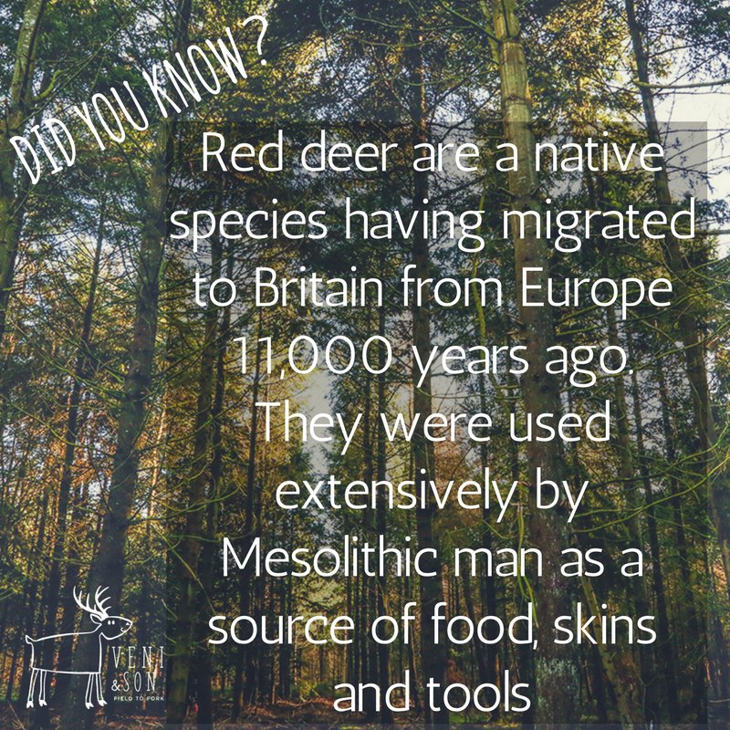 Did you know...? 

#deerfacts #wildfood #eatery
#eventcatering #fieldtofork #organicfood