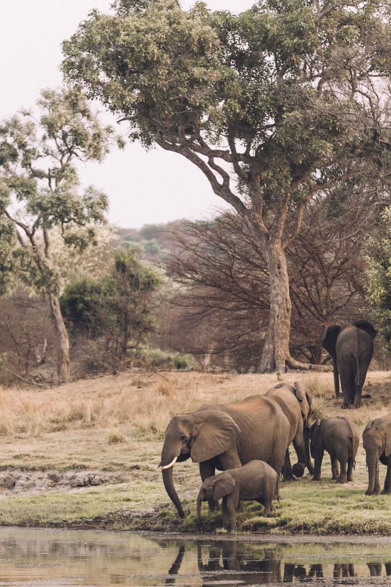 "Rivers run through our history and folklore, and link us as a people. They nourish and refresh us and provide a home for dazzling varieties of fish and wildlife and trees and plants of every sort." - Charles Kuralt #EarthDay2018 <a href="/RelaisChateaux/">Relais & Châteaux</a>A @RelaisChateaux <a href="/shesaidsa/">Anna-Belle</a>