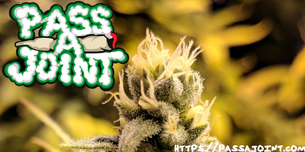 PassAJoint's tweet photo. Need a little pick-me-up after a long 420 celebration?  Click to enlarge the image! https://t.co/VMdCl3Lu70 https://t.co/4vHBBmsvAV