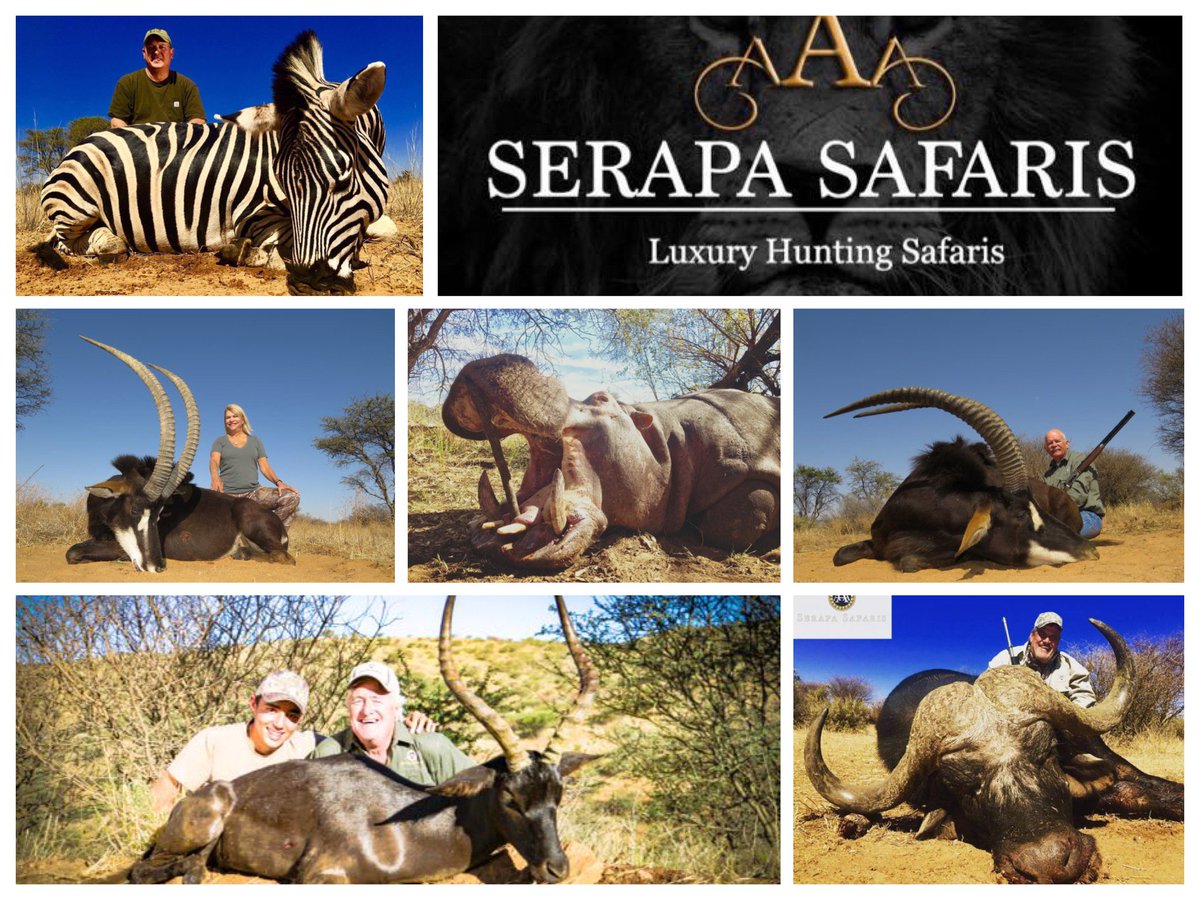 Htth16Htth's tweet image. Grinning baffoons at Serapa Safaris.......hunter posers that do so much for CONservation...

facebook.com/HTTHBanTrophyH…

#BanTrophyHunting #BanTroohyKilling #HuntingIsNotConservation #KillingIsNotConservation