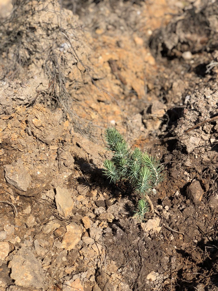 Geleceğe umutla bakan #MutluPazarlar