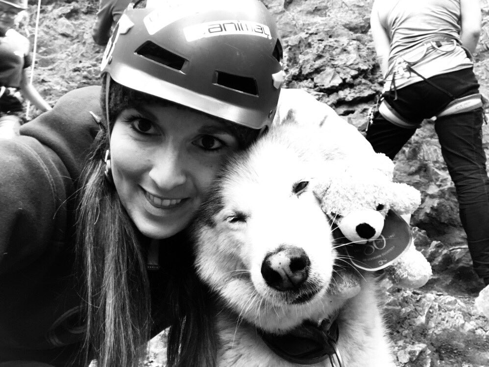 Climber_Mel's tweet photo. Day out with shadow at symonds yat rock #climbing #husky #siberianhusky #rock #climber #climb #instructor #symondsyat #symondsyatrock #thisgirlcan #outdoors #rossonwye #april https://t.co/70ELDPMoC6