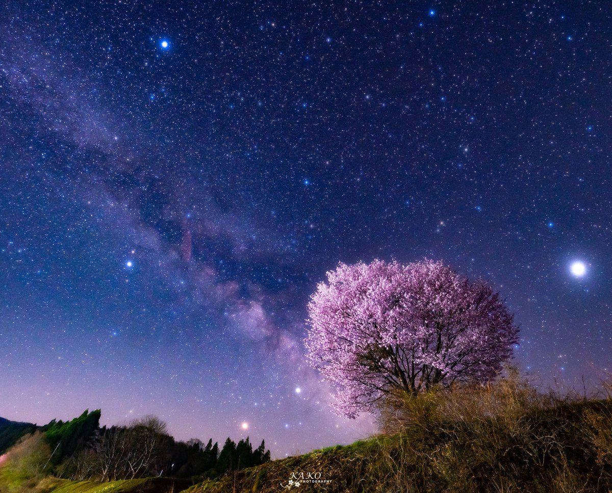 Y Kako בטוויטר 野平の一本桜と天の川 白馬を見渡す野平に立つ一本の桜 天の川が白馬の春の到来をを告げているようでした Date 18 4 22 Am2 30 iii 野平の一本桜 写真の奏でる私の世界 東京カメラ部 Tcc桜ツイート T Co Tlrnukpgbm Y Kako בטוויטר 野平の一本桜と天の川 白馬を見渡す野平に立つ一本の桜 天の川が白馬の春の到来をを告げているようでした Date 18 4 22 Am2 30 iii 野平の一本桜 写真の奏でる私の世界 東京カメラ部 Tcc桜ツイート T Co Tlrnukpgbm