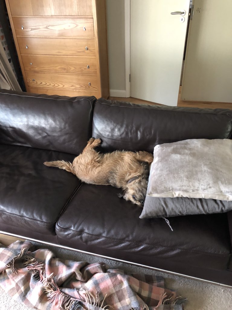 claptonterrier's tweet photo. BT H Q on high alert https://t.co/weVuL6TtYh