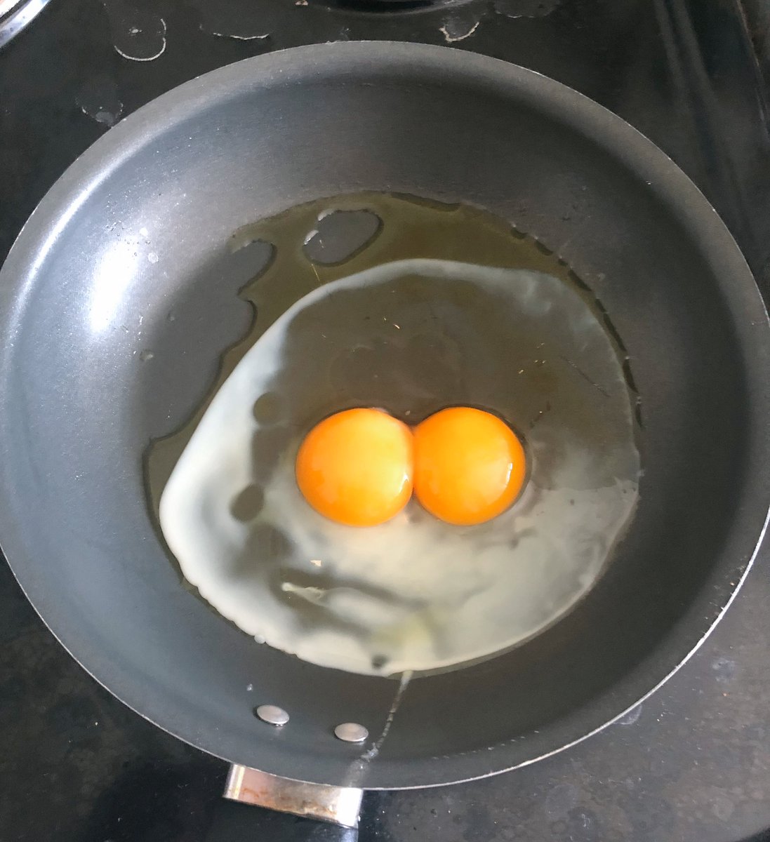 smith_wils's tweet photo. Remember, your luck can change at any point. #doubleyolk https://t.co/JyFR3ZLGSY