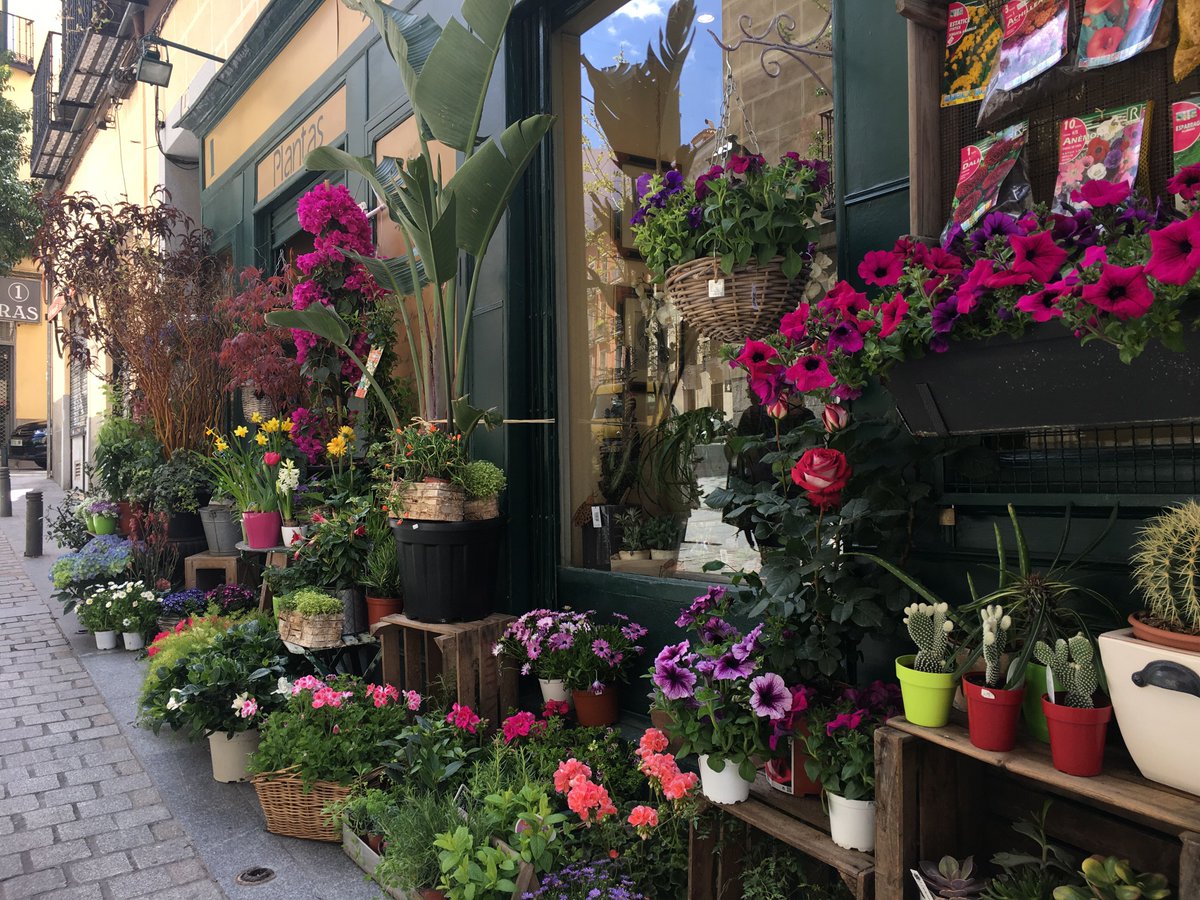 Lets_Marketing's tweet photo. Rincones de Madrid que te inspiran 💡#letsmarketing #letsdigital https://t.co/agerUawfuk