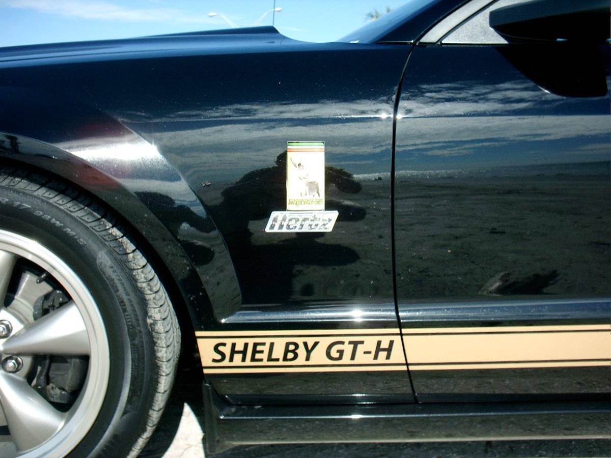 StripeyMiata's tweet photo. Car History Day 22 Hertz Shelby GT-H #ford #mustang #shelby #hertz #gth #cgv8 #justgofaster https://t.co/0syyDwumZl