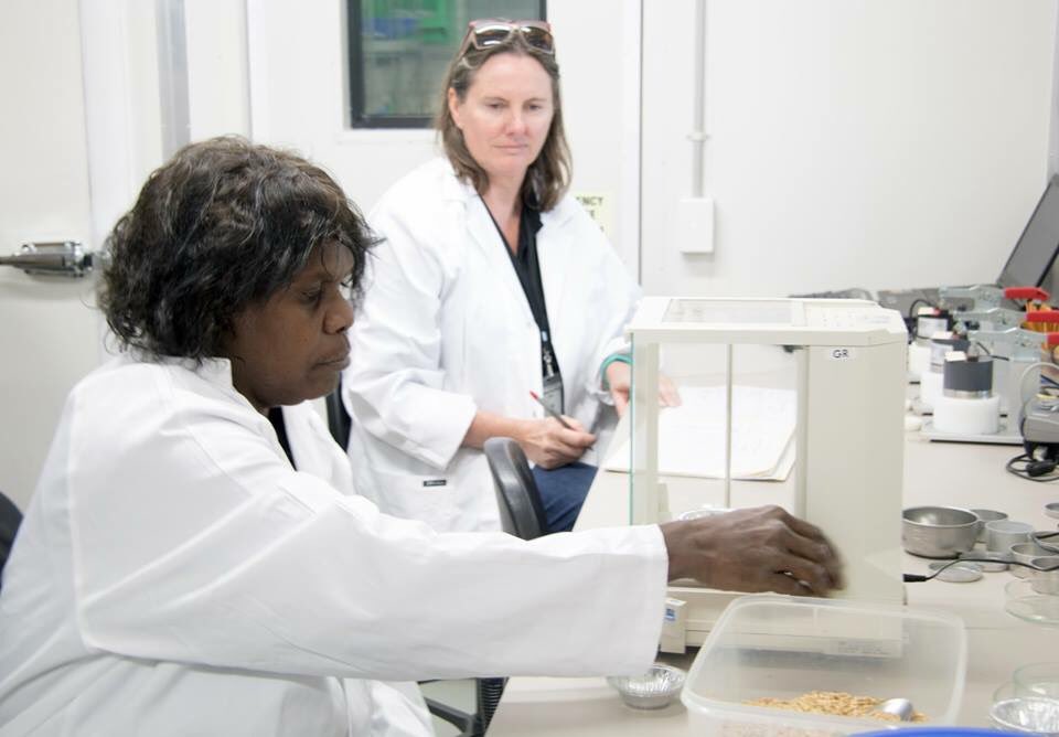TSCommissioner's tweet photo. Traditional Owners and western scientists working together to sow seeds for success. 🌱A fantastic project between the WA Herbarium &amp; the Tjuntjuntjara community is sharing knowledge &amp; upskilling community members on native seed collection &amp; seedbanking. https://t.co/6vmW9ZhDs0 https://t.co/LqloxKsNdo