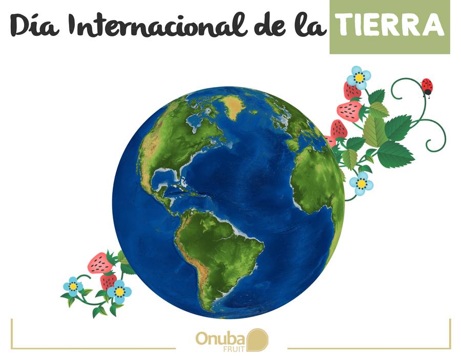 Nuestro deber es preservar la #Tierra para las generaciones futuras, por eso la #Sostenibilidad es uno de nuestros objetivos continuos. 🍓🌳
#DíaDeLaTierra