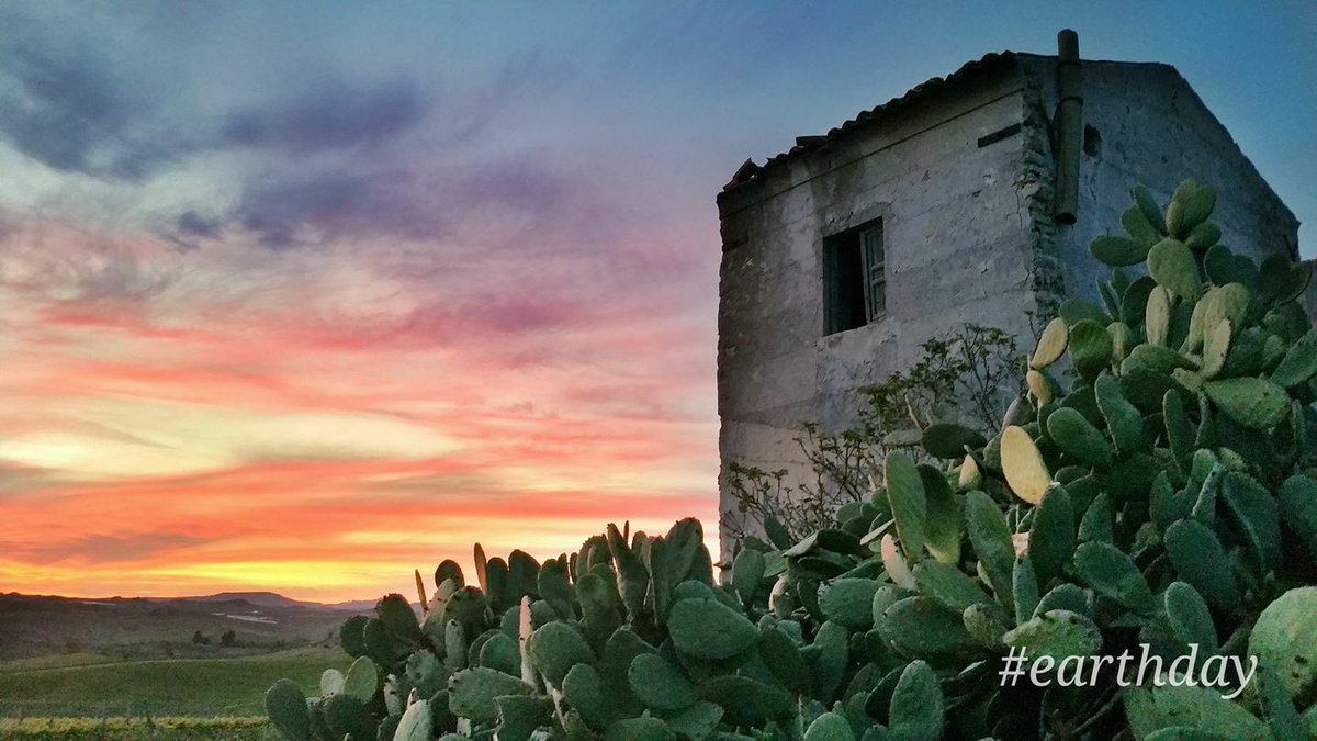 campobello_wine's tweet photo. Il vecchio Baglio.
Sul confine della sera.
Sul confine dei ricordi.
Tra terra e memoria 
alla ricerca delle nostre radici.

#earthday #giornatamondialedellaterra #cristodicampobello #radici #view #nature #landscape #baglio #winesofsicily #siciliadoc #wine #sicily https://t.co/nXZWrRcZMw
