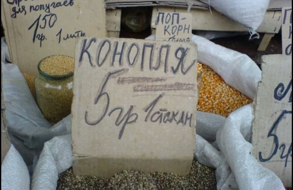 Смешные про наркотики фото Смешные про наркотики фото картинки наркотики бесплатно