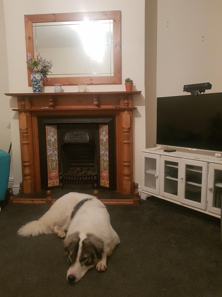Rebeccar91's tweet photo. If you are the one, then us meeting here is fate. Future with a dog named Red. Buy a house with a fireplace. #whatif https://t.co/bOo53lBIhj