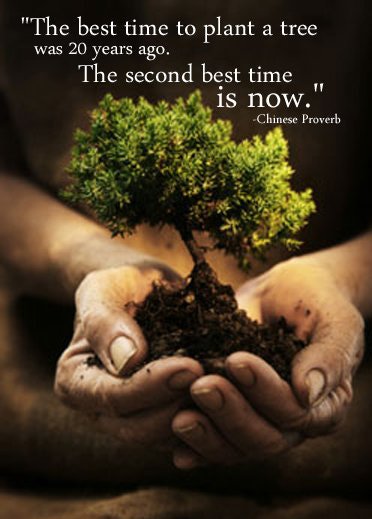amytweeets's tweet photo. #HappyEarthDay!  🌏🌍🌎 🌳🌴 https://t.co/FCW8xH63iF