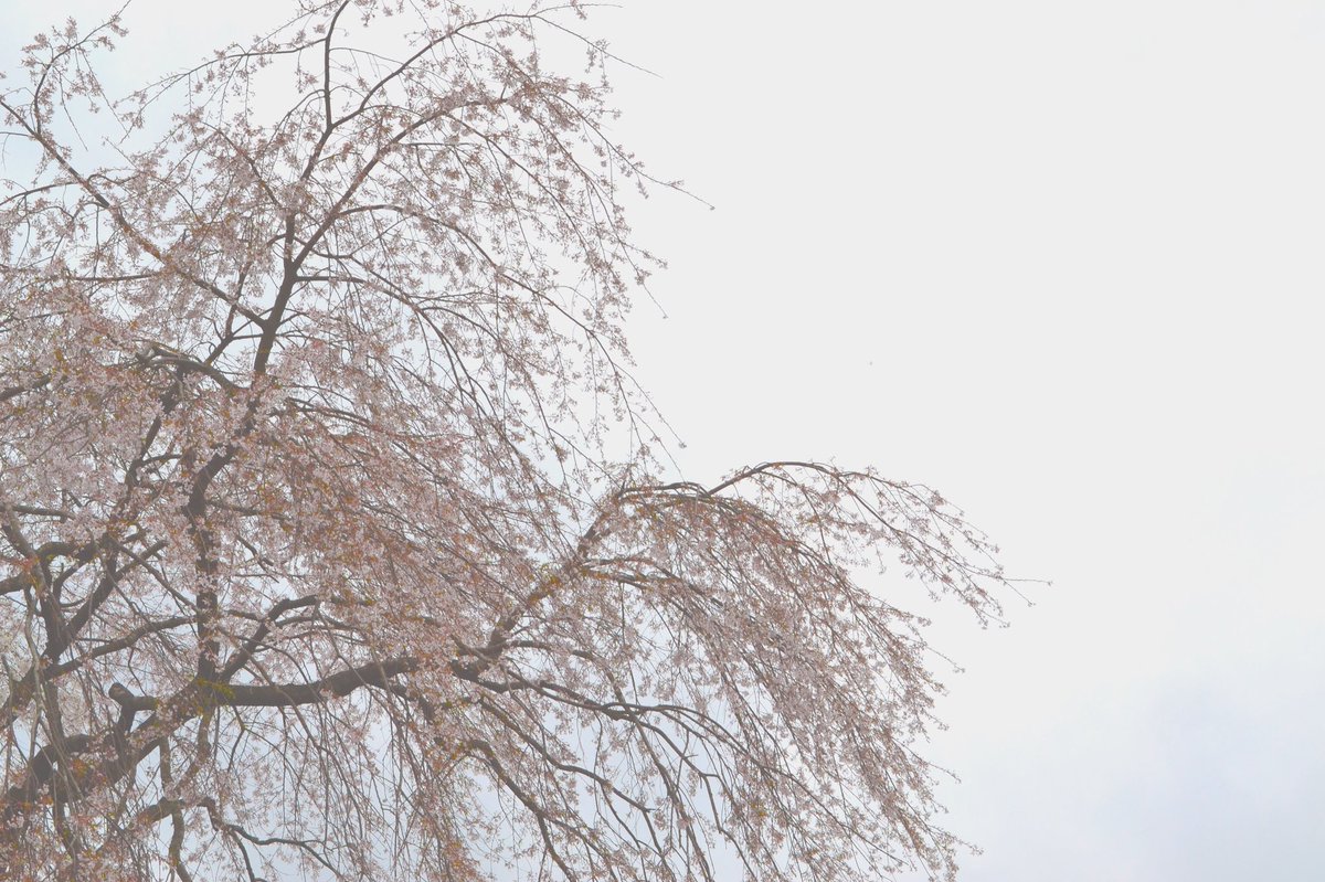 sora____study's tweet image. tag .
 
≫中Ⅲ
≫偏差値71へ
≫white
≫Partner @Smile__study 

#勉強垢さんと繋がりたい 
#一緒に勉強頑張ってくれる人RT 
#勉強垢さんフォロバします 
#勉強垢さんと一緒に頑張りたい