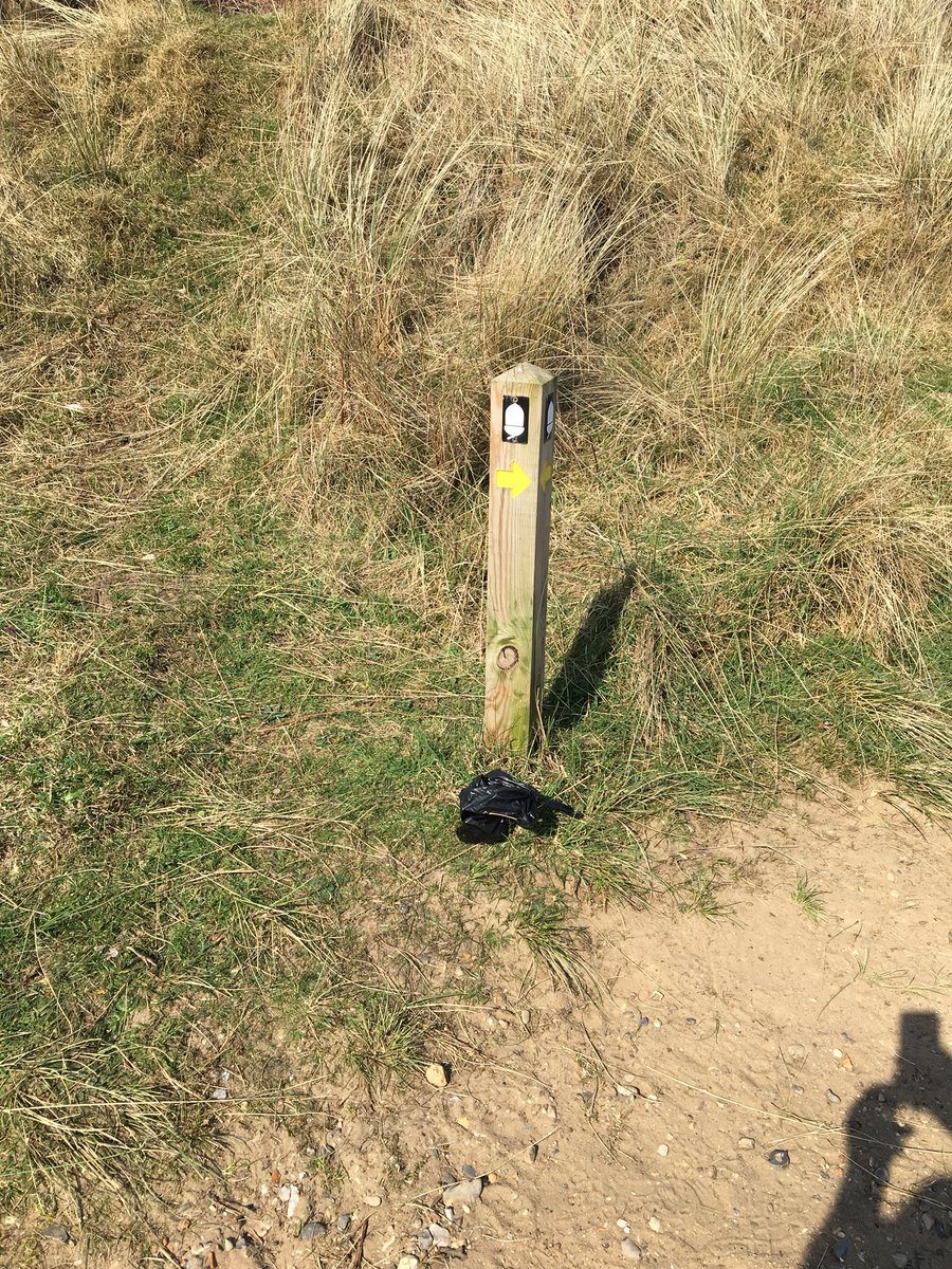 KevanBrett's tweet photo. Why do people do this ? It’s beyond belief, one person spoils it for everyone, Caister 2nd Avenue #morons #dogshit #appalling #shouldbefined https://t.co/uBsuenByzV