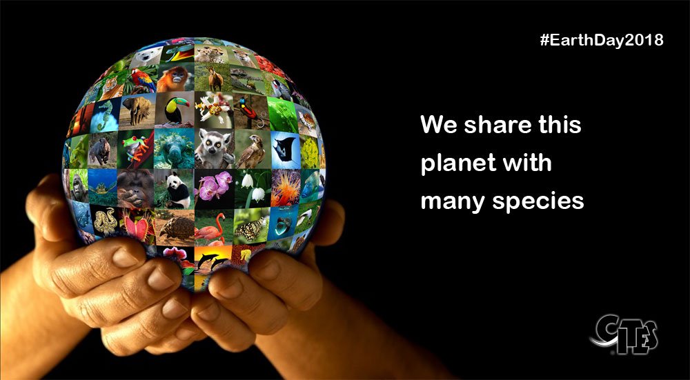 CITES's tweet photo. The earth provides enough to satisfy every man's need, but not every man's greed - Mahatma Gandhi.

We have lost half of the world's #wildlife in 40 year! On #EarthDay2018, let's all pledge to live a sustainable life &amp; make this 🌍a better home for all life on #Earth! #EarthDay https://t.co/kw0nozj6xM