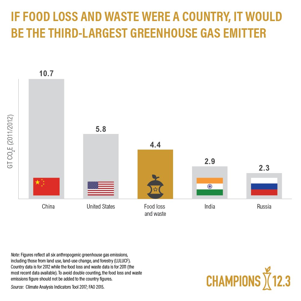 dsmfirmenich's tweet photo. #EarthDay2018 Fact: If food loss and waste were a country, it would be 3rd largest greenhouse gas emitter on the planet, behind China and United States. Time for action is now.  #Champions123 > https://t.co/mwERjZEJHe https://t.co/spSv3i3gKq