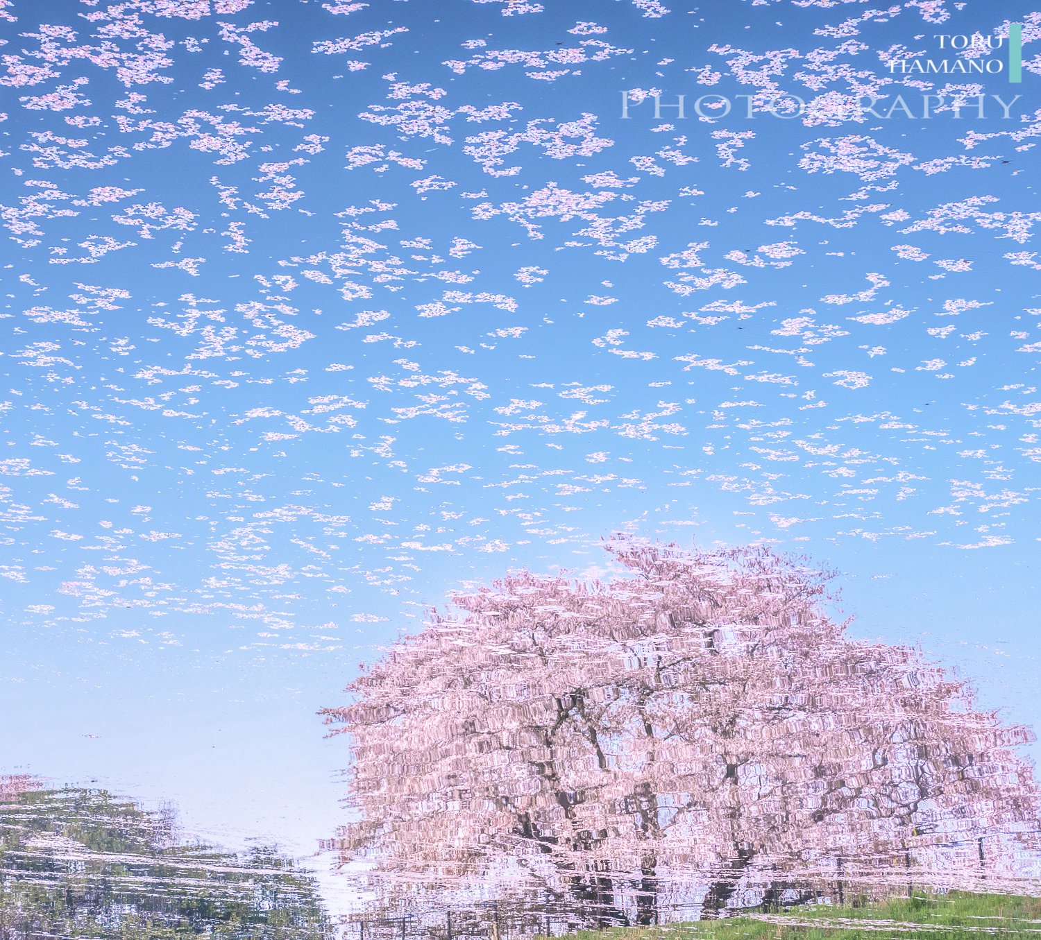 Tokyocamerajp 東京カメラ部twitterアカウントへのhomasi Mrさんの投稿作品 リツイート いいね 大歓迎です T Co Qq0zqrxwp9 東京カメラ部 Photograph Photography T Co Wvvrb3xuix Twitter