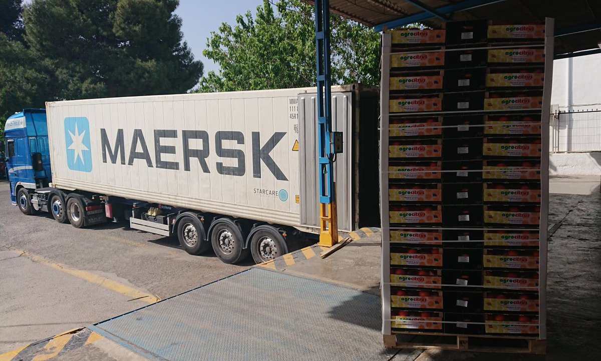 InfoAgrocitrus's tweet photo. Expanding Middle East Market with Navell Powell 10 kg wooden box,  enjoying high brix flavour as well as outstanding quality . https://t.co/Nzc52tgUxU