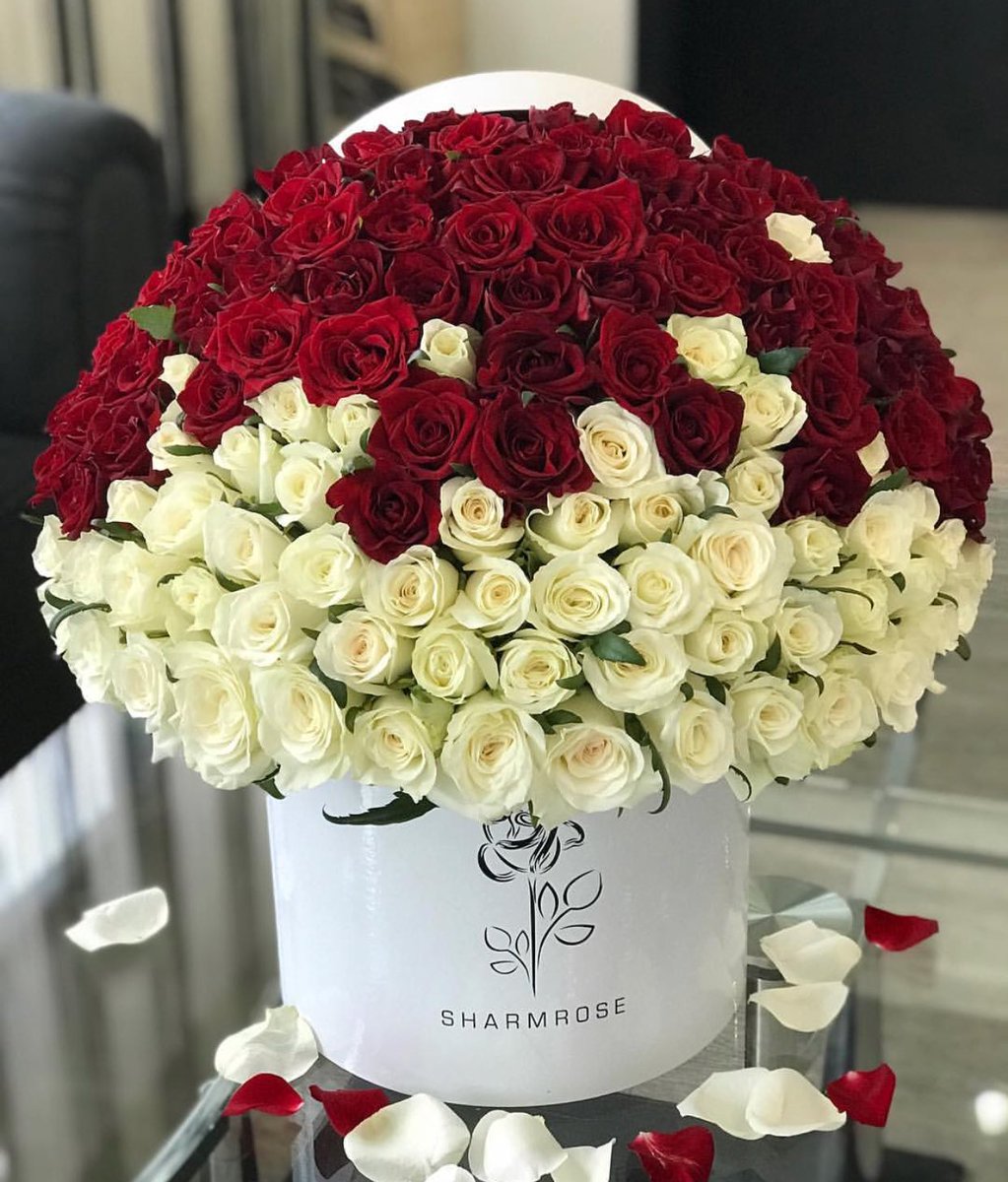 comme1rose's tweet photo. https://t.co/RvhMZRzUVV