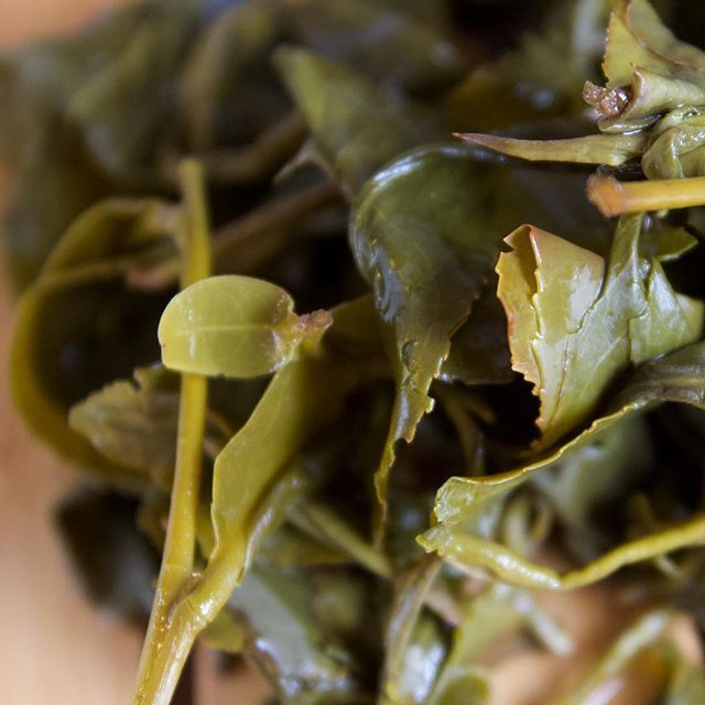 Tea89Noir's tweet photo. Tea mess 2.0 #tea89noir #tea #cha #teaculture #puerh #puer #oolong #health #greentea #norway #teadrunk #streettea #teapot #gaiwan #gongfucha #beautiful #instatea #nature #life #art #photooftheday #tealife #teaaddict #tealover #teagram #お茶 #차 #teaware https://t.co/6jyfmxcmz1 https://t.co/7tORKEmD7A