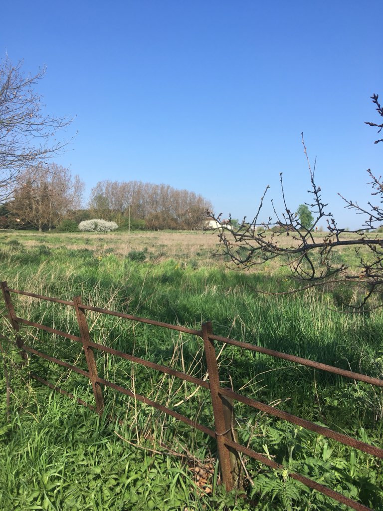 LewisLittleLegs's tweet photo. This was my view today as I ran 8k practising for the run in May. Not a marathon but still tough in the sun. Good luck to everyone running in the London marathon today. #cerebralpalsy #mumintraining https://t.co/ID9GKczEtQ