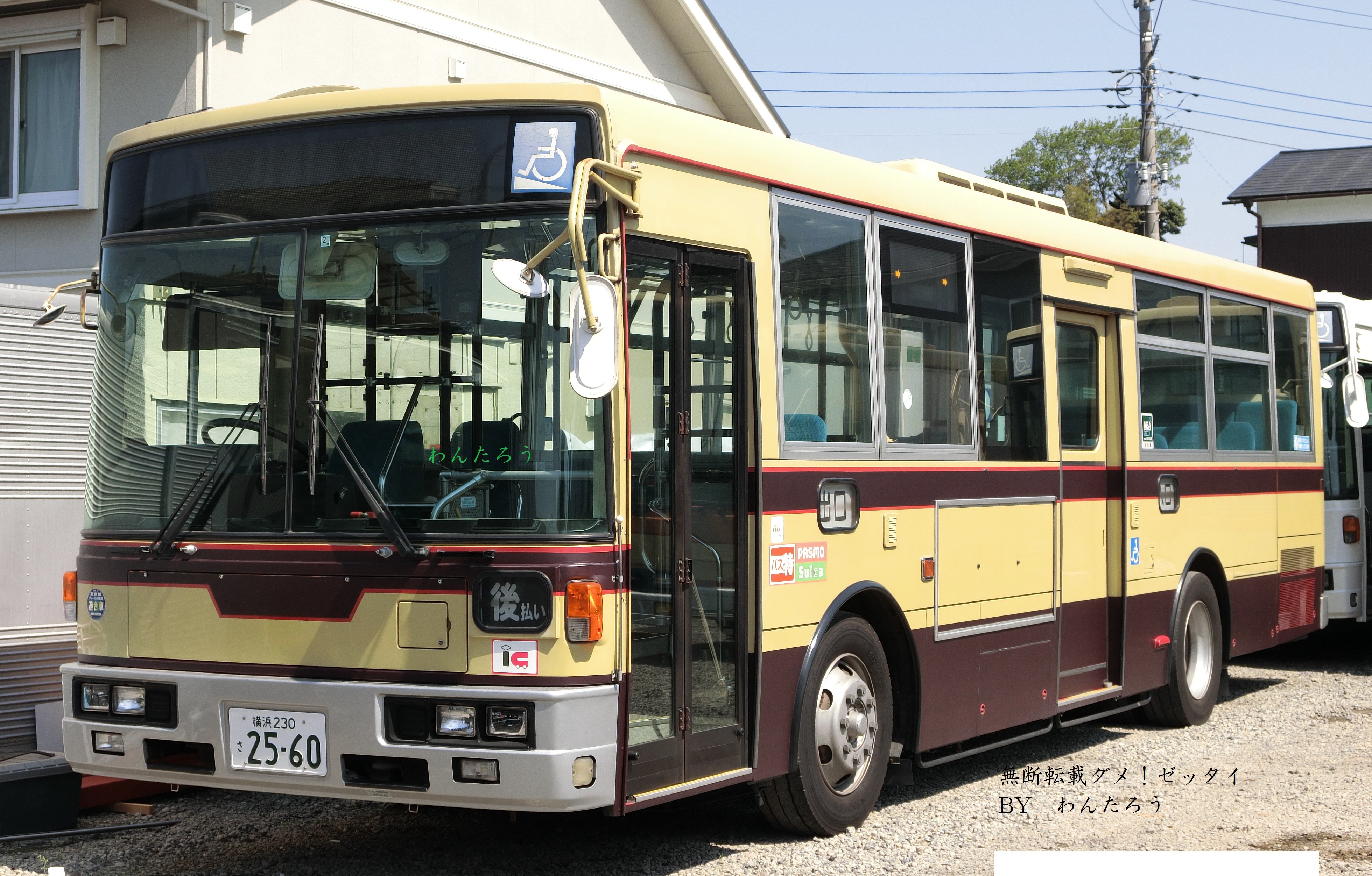 ハナ様 25081740_6.jpg