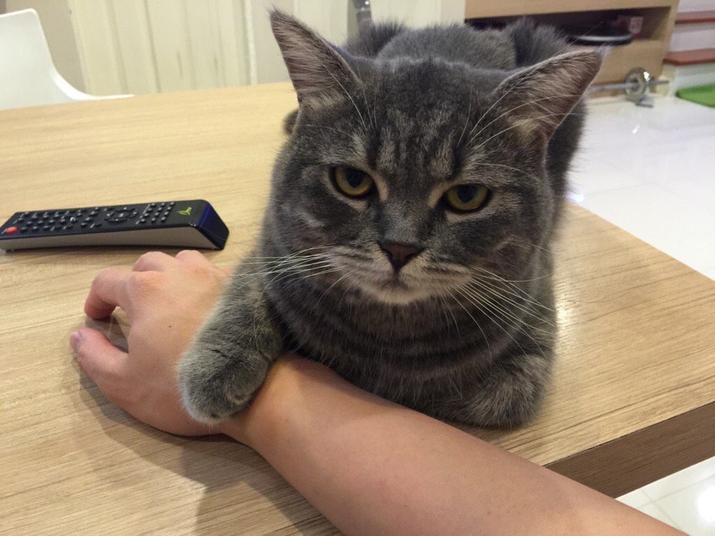 ppinkqx's tweet photo. คนนี้ของกูเว้ย ยั่มมายุ่ง!! https://t.co/l5rFK6RIXd