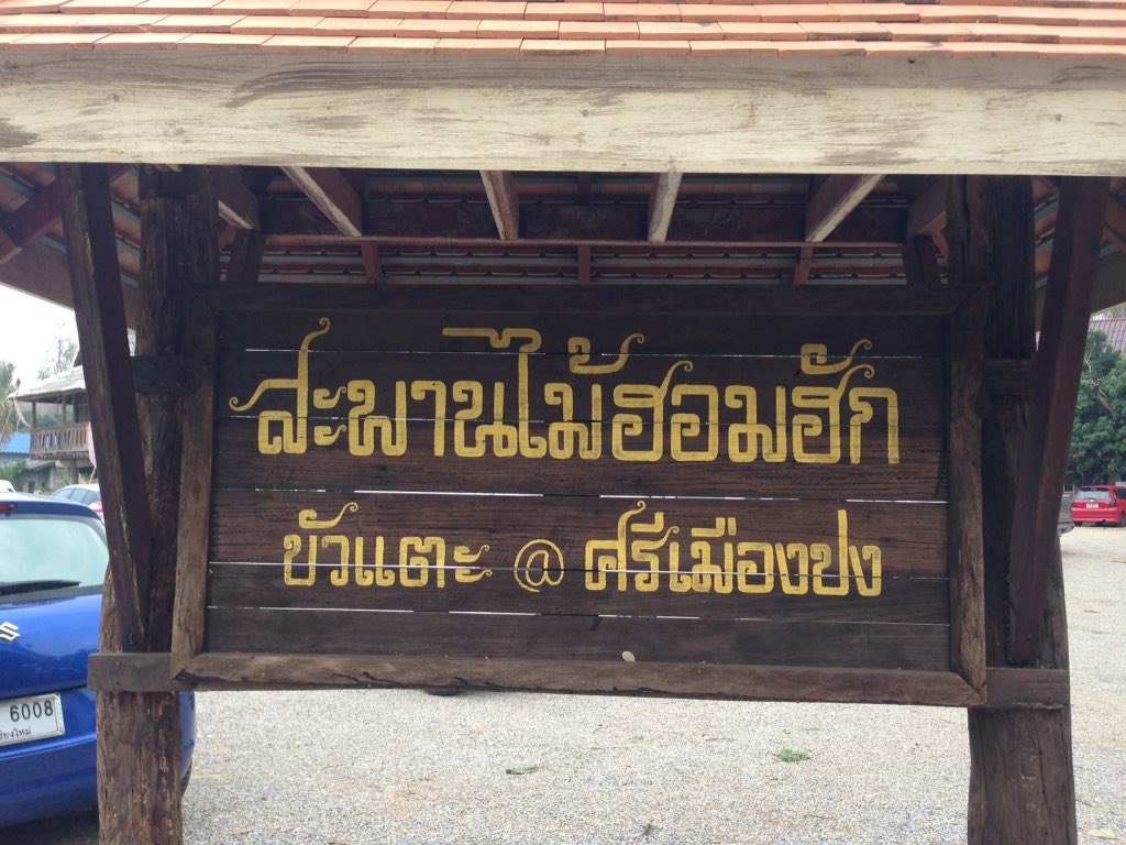 ChenAf13's tweet photo. ตะลอนเชียงใหม่ สนุกมาก ไปเรื่อยๆ ร้านกาแฟเล็กๆ สะพานไม้สวยๆ แฝงตัวในท้องนาเล็กๆ ร้าน Fieldgood #fieldgood #reviewchiangmai #รีวิวเชียงใหม่ บรรยากาศน่ารัก ลมเย็น #ต้องมาชม มาชิม https://t.co/ix2jqfuZXn