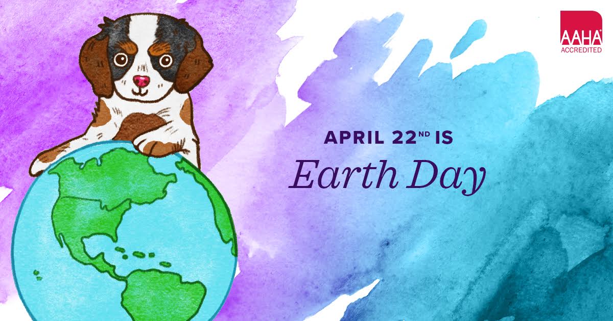 Halifaxvets's tweet photo. Happy Earth Day! 🌍 How will you and your pets help make the world a greener place? #EarthDay2018 https://t.co/YWKMH6108V