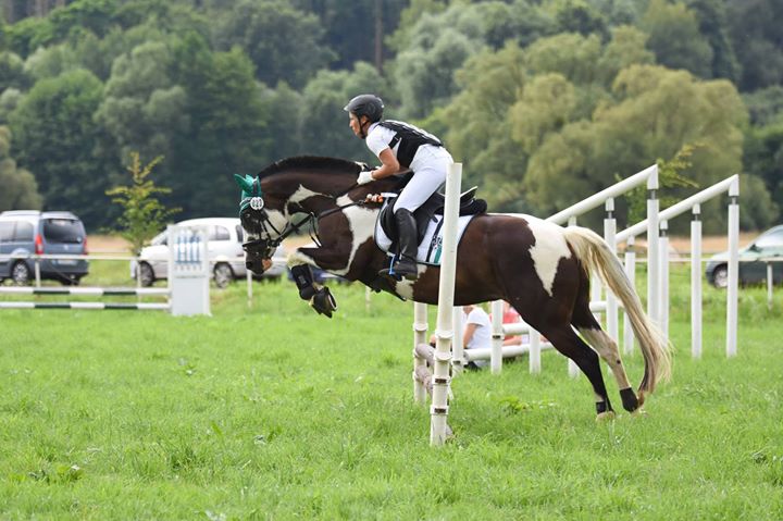 EquiMindShows's tweet photo. How exciting…An Equimind Adventure…Have your own with Equimind online competitions and training #EquiMind #Equine #Adventures #Competitions #Competing https://t.co/O0DSL0l5Bk