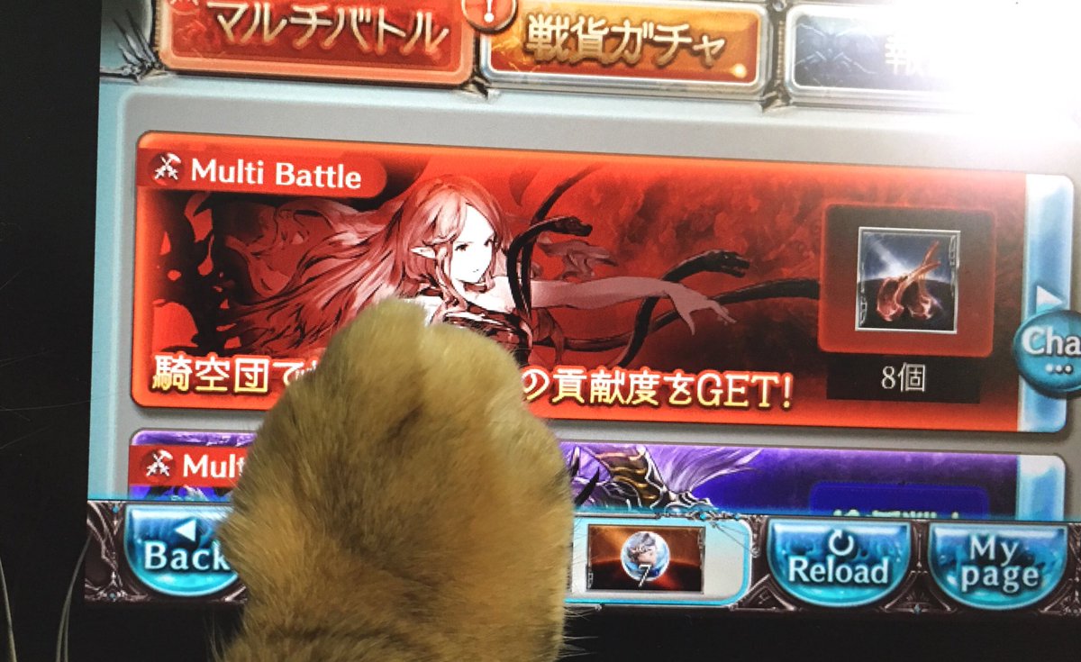 mayachiii's tweet photo. 猫にやってもらいます https://t.co/f7ylVwmwUn