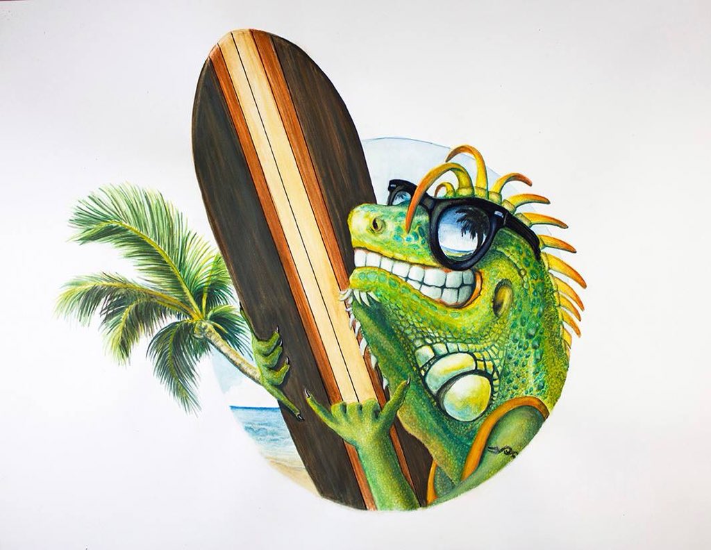 My latest illustration project for a beach rental business. When all else fails, hire a surfing Iguana! Medium is watercolor on paper. #Illustration #cinqcreative