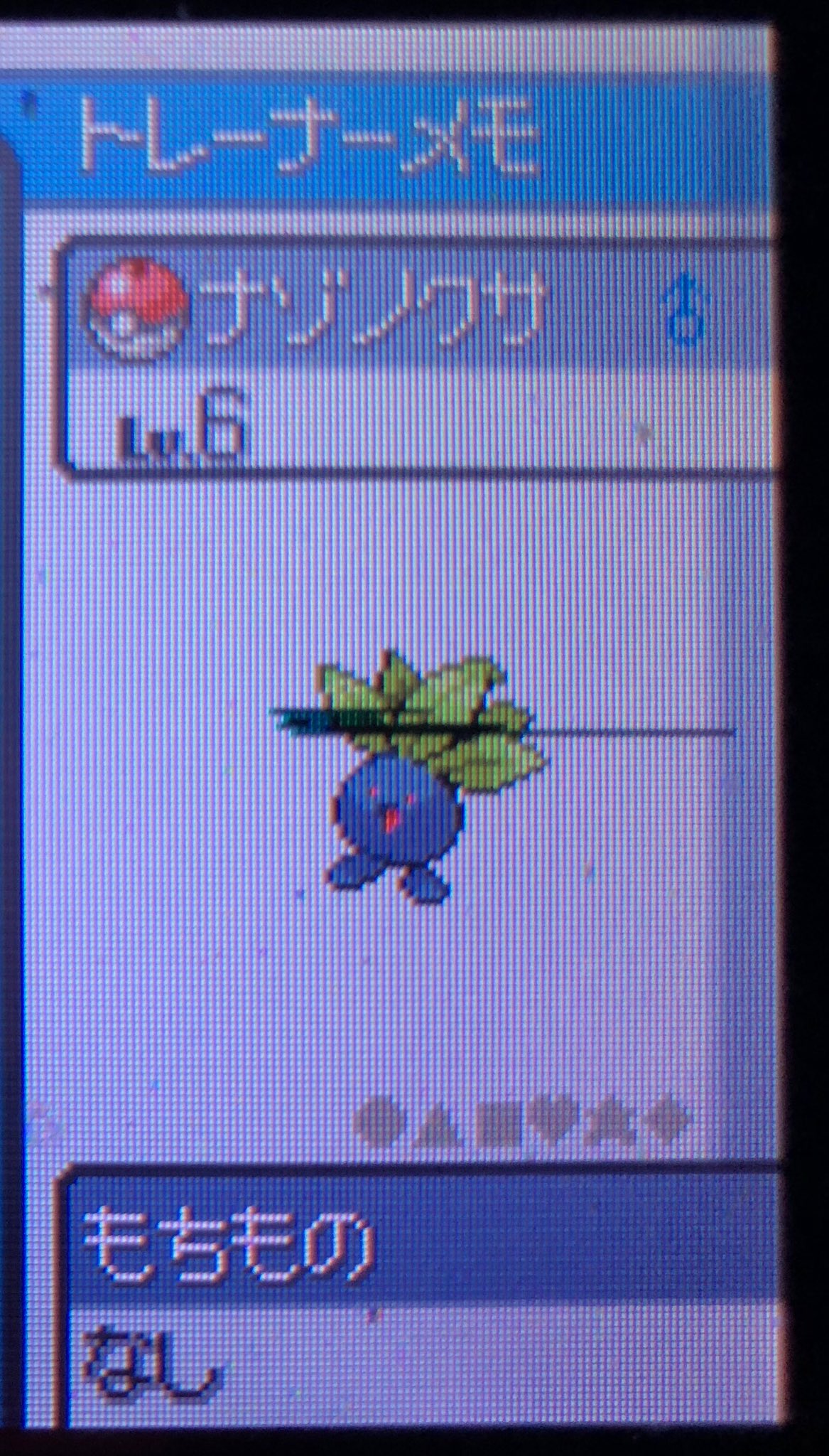 第4世代配布ポケnn変更方法 Twitter