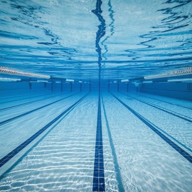 Etre seul dans l'eau pour profiter d'un beau moment de tranquilité 💧
#Tranquilité #BienEtre #Moment #SpeedoFrance #Natation #Nager #Swimming #Swim 
@groundeddebz