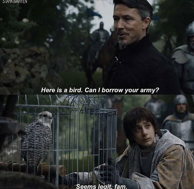BrotherhoodPod's tweet photo. They all say littlefinger is a genius but the standard isn't exactly high...
.
.
#littlefinger #petyrbaelish #got #gameofthrones #asoiaf #sweetrobin #nerd https://t.co/xO4I78pKfh
