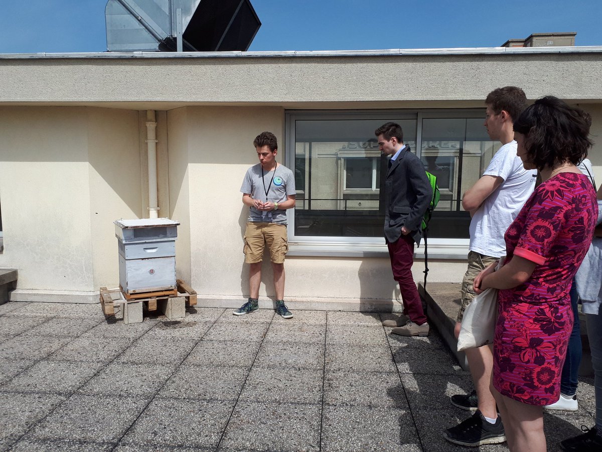AlessiaLille's tweet photo. Visite des ruches de l'@ENS_ULM avec l'association ÉcoCampus ENS porteuse du projet pendant les #RENEDD2018 organisées par la @REFEDD 😄 
🐝🐝🐝🐝🐝🐝🐝
#DD https://t.co/opaIC5xMaG