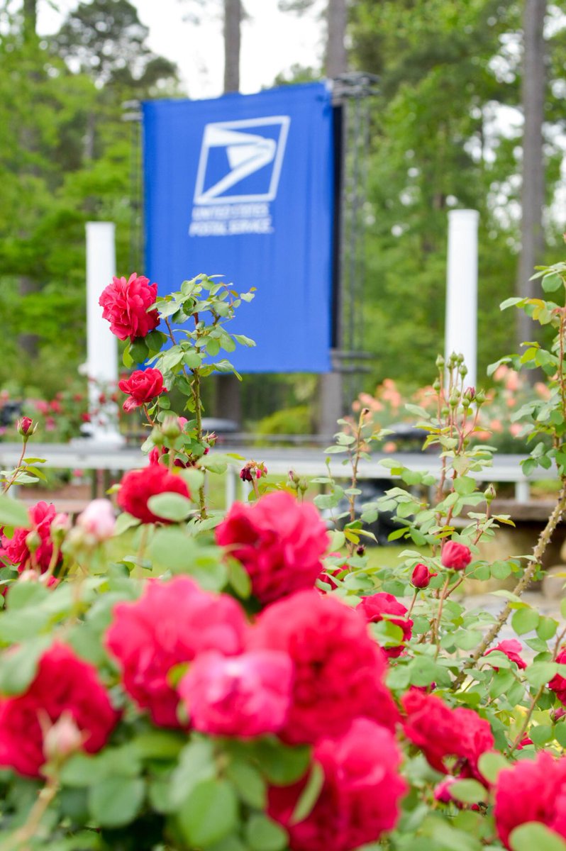 BarberTwana1's tweet photo. 🌷The Peace Rose Forever Stamp drew applause from a big crowd that turned out to not only see the unveiling, but also be the first in line to buy the stamp. It's thought to immediately become a collectible. #flowers #usps #garden #FDOI 🌺🌷🌹🌸💐 https://t.co/oulOXJHi8Y