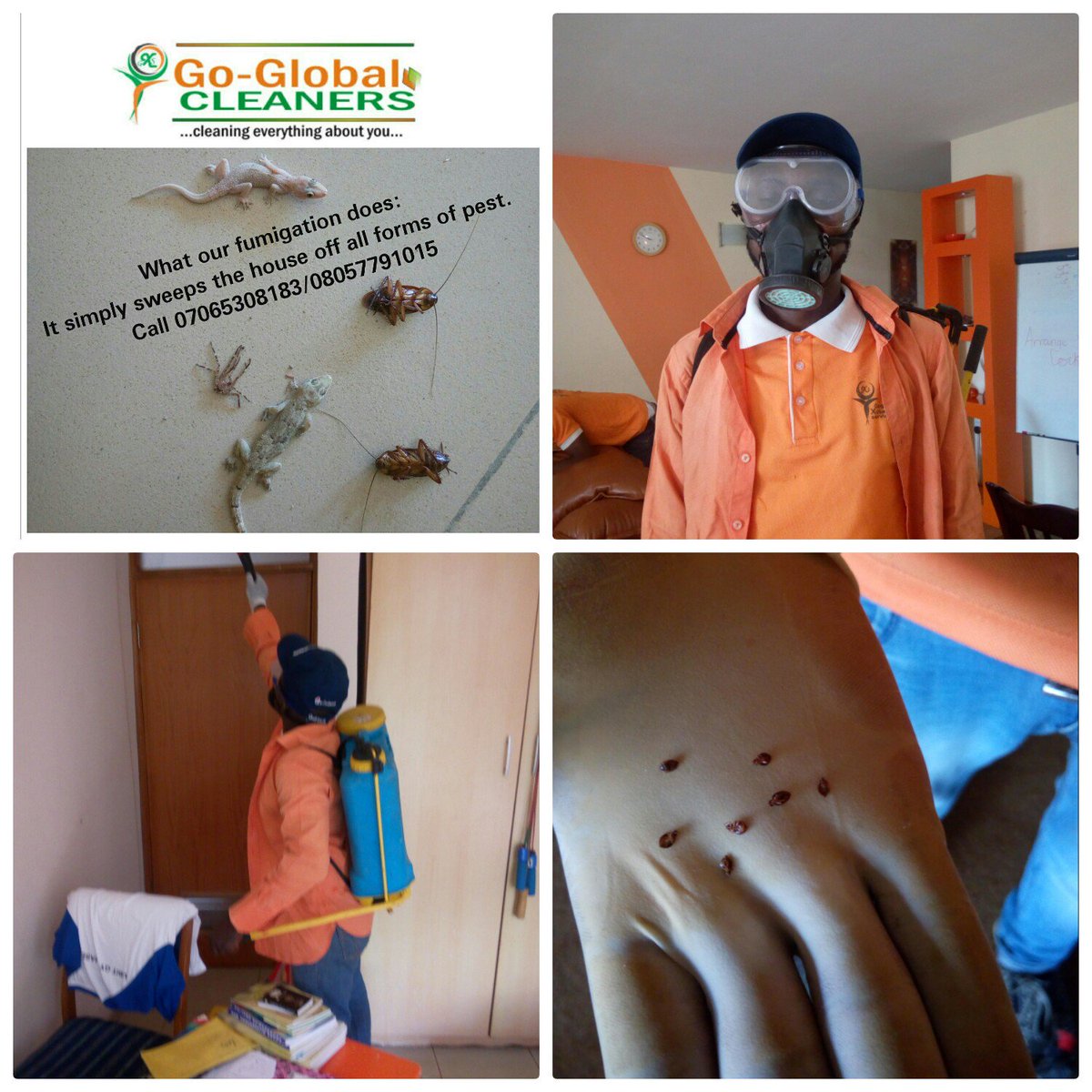 GoCleaners's tweet photo. Thinking of a professional cleaning/pest control services? Call 07065308183 now to book. #bbnaija https://t.co/5NDemneSNa