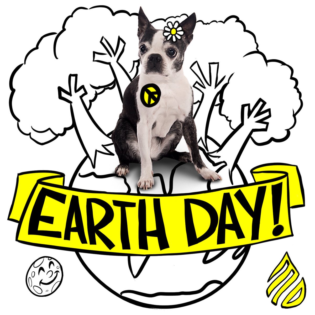 moagency's tweet photo. This month’s featured #PetsofMO, Pixie, has been passionate about her planet for 15 years. Maybe that's because she knows it’s the only one where her human, the boisterous #MidnightOilers Christine Schweiger, keeps her treats.
For #EarthDay, let's all be more like Pixie. https://t.co/MXixfCWCV1