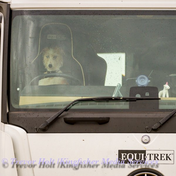 Busy day for <a href="/NWEventing/">Nicola Wilson</a> today at Northallerton Horse Trials. Tipple had to help with the driving