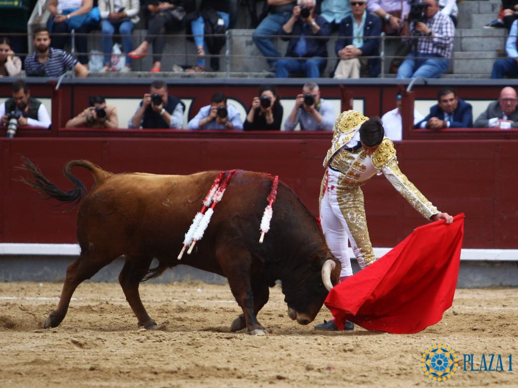 LasVentas's tweet photo. 📸 | ¡Ya tenemos el primer avance fotográfico de la novillada que se está lidiando en #LasVentas! Descubre las mejores imágenes que nos han dejado @adrianhenche1, @MiguelngelPach6 y @adoureno con su primero de Julio García.

Galería completa 👇
https://t.co/gjXhAJbX0q https://t.co/Xz4KP172qF