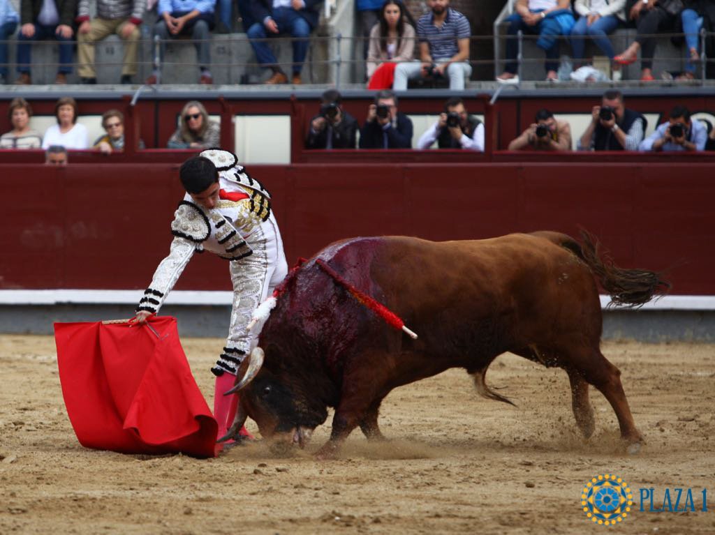 LasVentas's tweet photo. 📸 | ¡Ya tenemos el primer avance fotográfico de la novillada que se está lidiando en #LasVentas! Descubre las mejores imágenes que nos han dejado @adrianhenche1, @MiguelngelPach6 y @adoureno con su primero de Julio García.

Galería completa 👇
https://t.co/gjXhAJbX0q https://t.co/Xz4KP172qF
