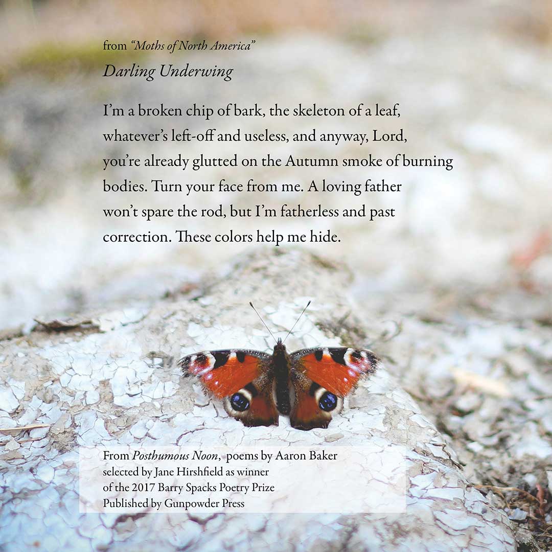 Thank you, POETRY DAILY for featuring Aaron Baker's "Water-Strider" today! Here's a bonus poem from Posthumous Noon, with a reminder that we are accepting submissions for the 2018 Barry Spacks Poetry Prize until the end of April. poems.com/poem.php?date=…