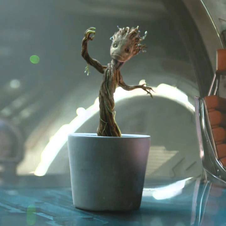 "We are Groot"(Happy Earth Day!) 