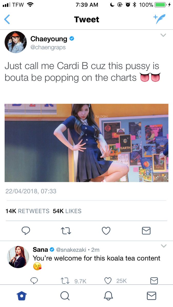 Chaeyoung and Sana are two halves of a whole mess