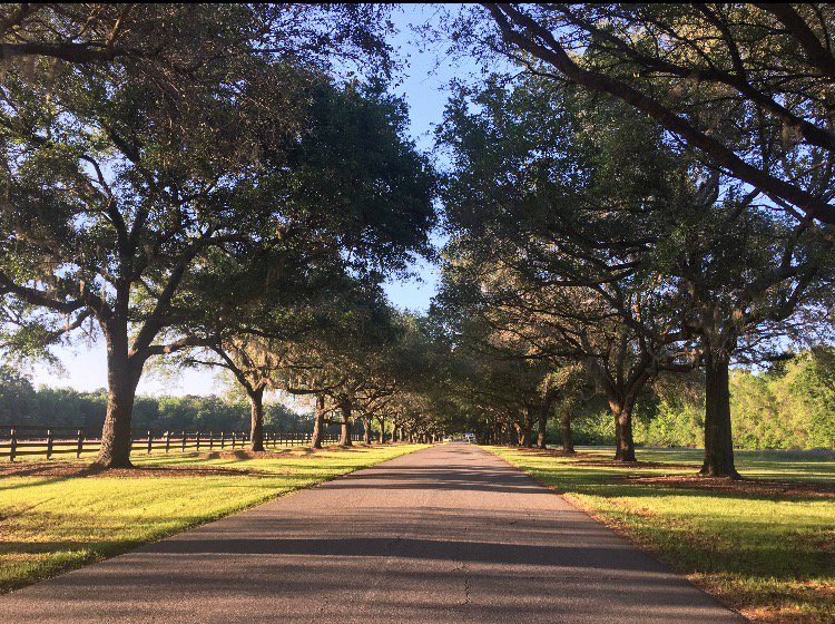 NICHOLASAIR's tweet photo. Spectacular weekend spent at the 14th Annual @BraysIslandPlan Outdoor & Shooting Expo! #NicholasAirPartner #BraysIsland #BraysIslandPlantation #SC #SportingCommunity #CoastalLiving #Outdoors #DiscoverSC #SouthernLiving #SouthernCharm #SouthCarolina #LowCountryLiving #ClassicCars https://t.co/k76Bi4SuZP