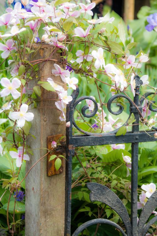 "Čekaj me, i ja ću doći
  samo me čekaj dugo..."
                        K. Simonov

(Жди меня, и я вернусь.
  Только очень жди...)